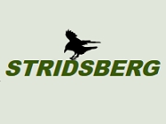 Stridsberg Engineering